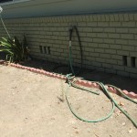 Planter space on side of house