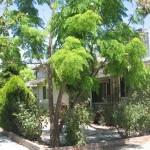 Driveway view of previous angle