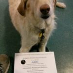 Intermediate Obedience graduation! Isn't she awesome?! ;)