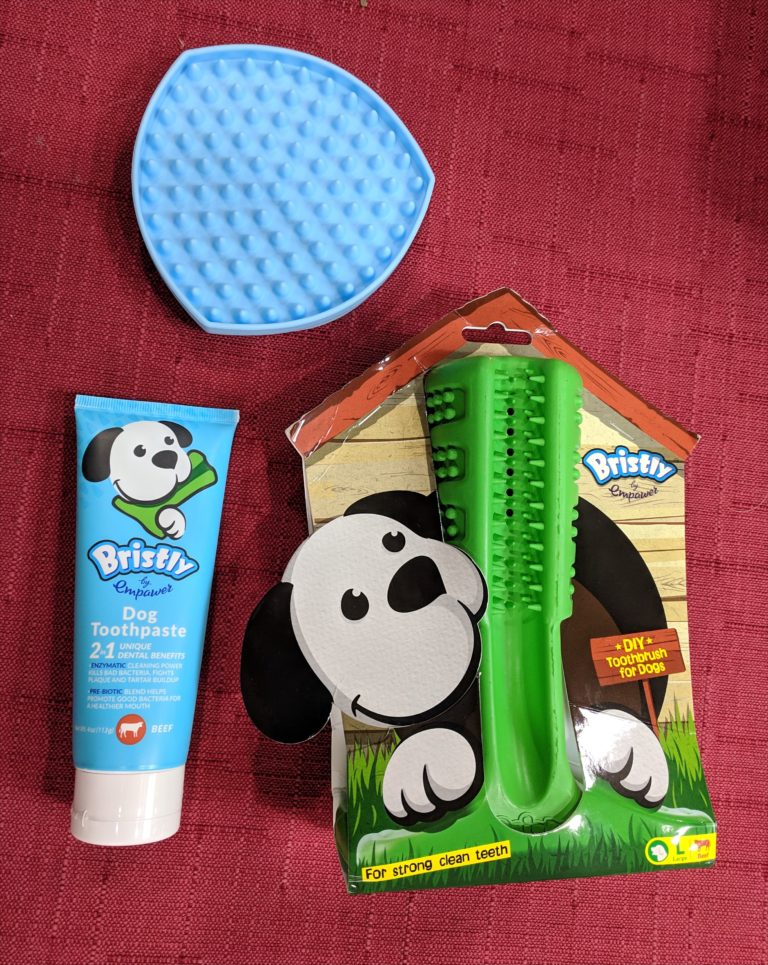 Review: Bristly dog toothbrush