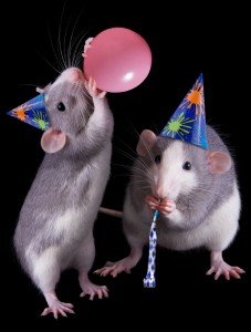 The Rats of Happiness