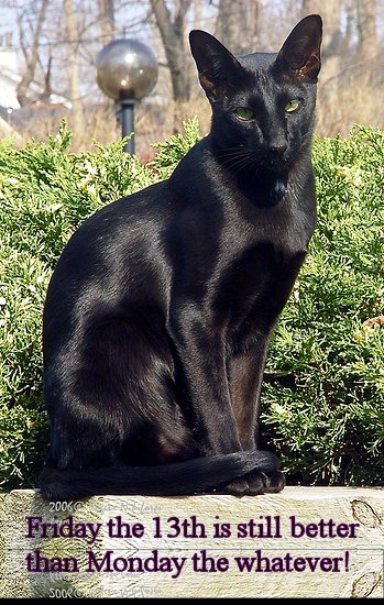 Black cat sitting on wooden railing, over quote: Friday the 13th is still better than Monday the whatever!